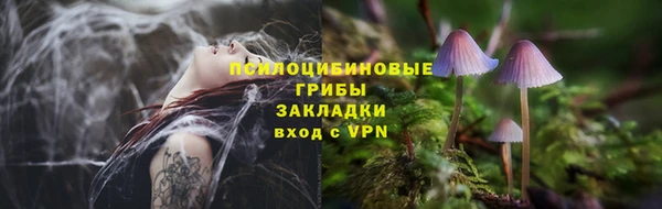 спайс Вяземский